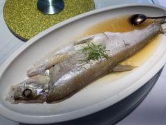 -席家花园(巨鹿花园店)