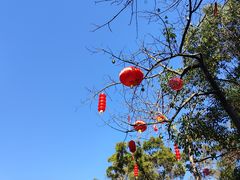 -金鸡山公园
