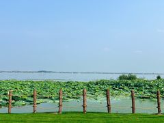 -七的湖·晚芳亭·阳澄湖农家菜·大闸蟹(莲花岛店)