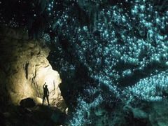 -怀托摩萤火虫洞