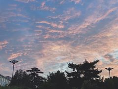 -济南南郊宾馆