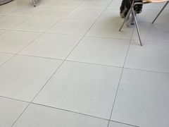 -怪兽屋·羊驼·猫咖·狗咖(俊华广场店)