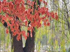 -长春市南湖公园