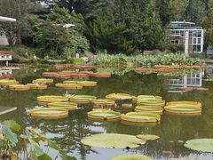 -国家植物园南园