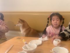 -柴の食堂·日式家庭料理·熊之肆(大学路店)