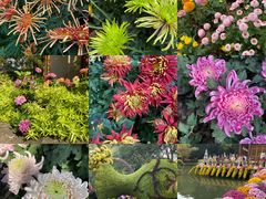 -杭州植物园