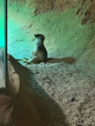 -酷嗒动物文化乐园(cutezoo西溪乐天城店)