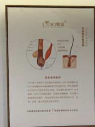 -熙朵美学植发连锁