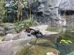 -河川生态园