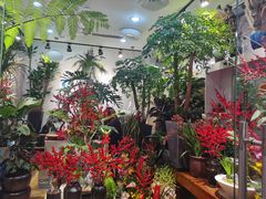 -双季花艺园艺市场(浦东店)