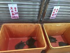-荔城生鲜盛宴(番禺旗舰店)