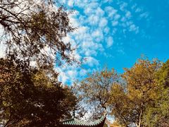 -岳麓山风景名胜区