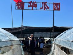 -庞各庄西瓜蔬菜采摘园·锦华瓜园