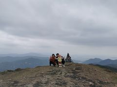 -大姆山草场