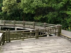 -吴淞炮台湾湿地森林公园烧烤区