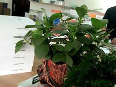 -银泉图文广告·招牌·公司文化墙·印能达(淞虹路店)