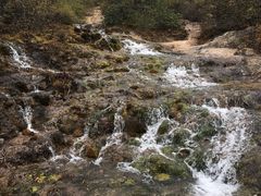 -黄龙山原始森林景区