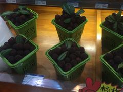 -温州龙湾国际机场
