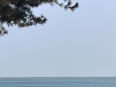-小石岛景区
