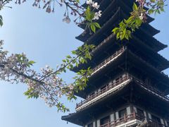 -宜兴龙背山森林公园