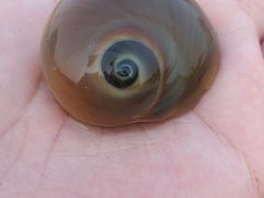 -北戴河东海水浴场