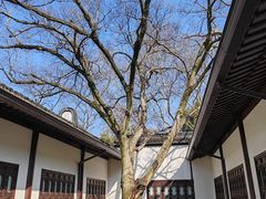 -上海醉白池公园