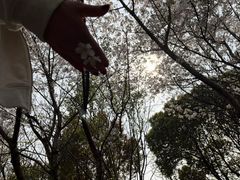 -阳澄湖半岛旅游度假区
