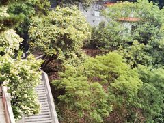 -圣莲山风景区