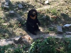 -野生动物园-停车场