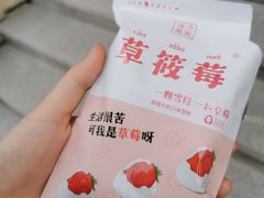 -杭州湾海上花田景区