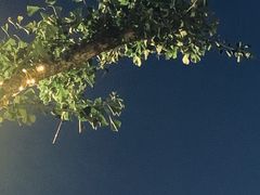 -岁粤Moon·湖景餐厅(月光码头店)