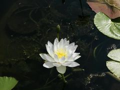 -华南国家植物园-售票处