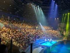 -芜湖新华联大白鲸海洋公园