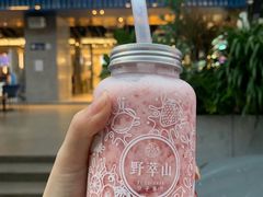 -野萃山·潮汕厚果汁(十亩地店)