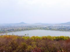 -羊山湖公园