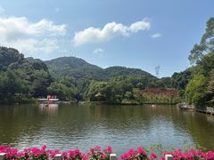 -广州市帽峰山景区