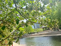 -元大都城垣遗址公园