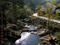 -祁门牯牛降观音堂风景区
