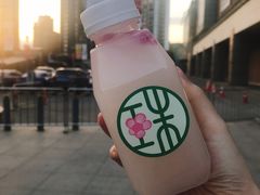 -宝珠奶酪(闵行仲盛店)