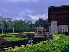 -南宫五洲植物乐园