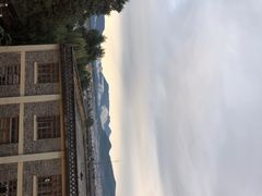 -蘑统田下·野生菌火锅
