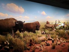 -陕西自然博物馆