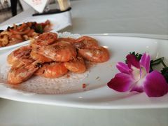 -云中小雅