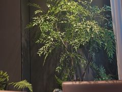 -宋都禾源·灌汤包子(汉兴路直营店)