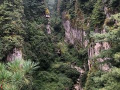 -苍山感通索道