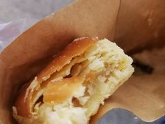 -百年泰康鲜肉月饼