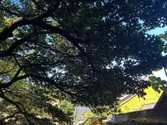 -普陀山慧济禅寺