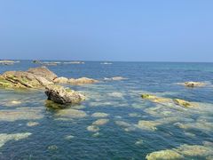 -养马岛旅游度假区