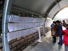 -人民公园-相亲角