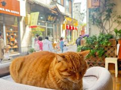 -黎阳老街